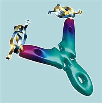 Bolet�n Oncol�gico n�mero 25